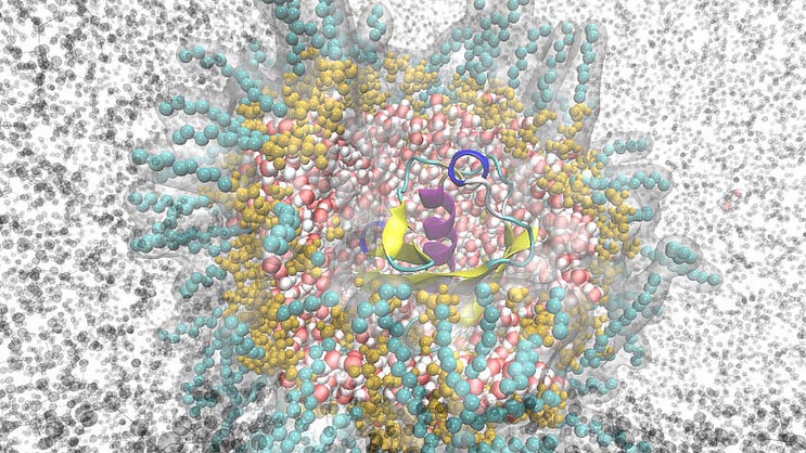 Visualization of a molecular simulation showing a protein structure surrounded by colored particles representing atoms or solvent molecules, illustrating computational chemistry at the molecular scale.